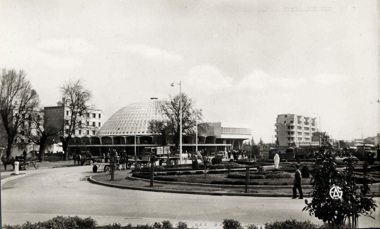 Sidi bel abbes 541- Halles COLLECTION DES AMIS DE ND DE SANTA CRUZ.jpg